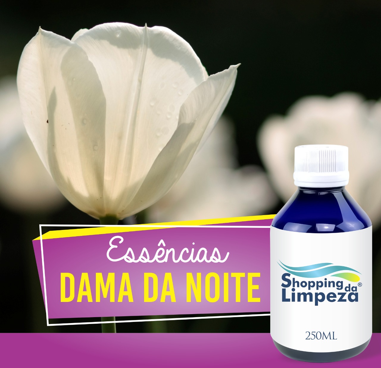 Dama da Noite HS Citratus 250ml